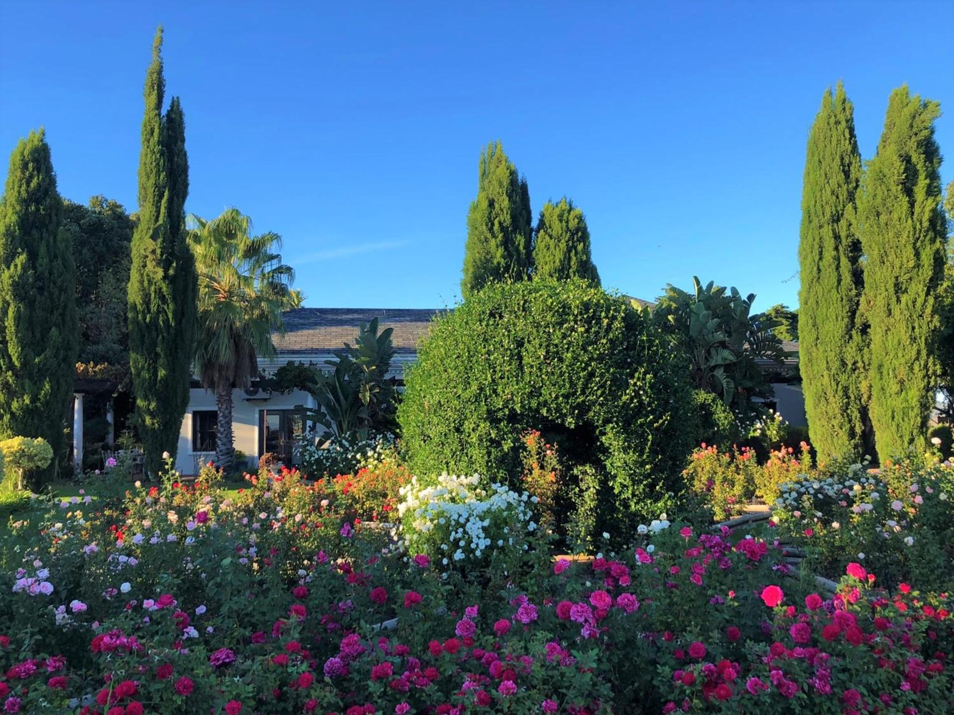 Bakenhof Winelands Lodge Paarl Exterior foto